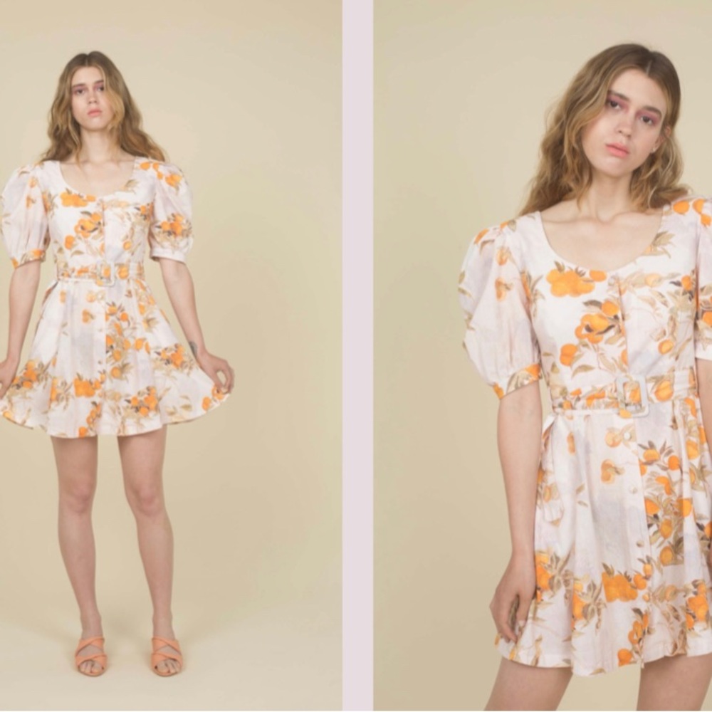 Samantha Pleet Meadow Dress, sz 12